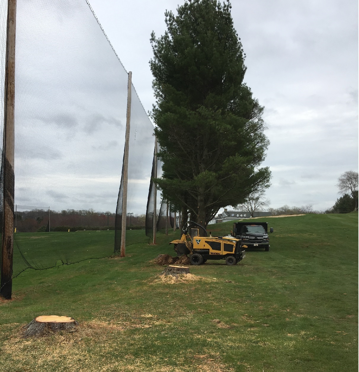 Stump removal Monroe Connecticut