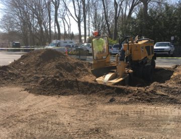 stump grinding westport, ct