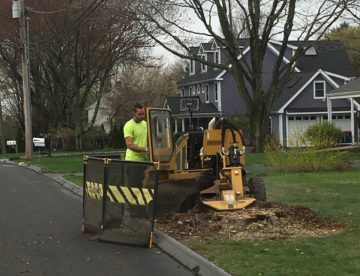 stump removal trumbull, ct