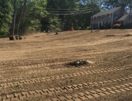 grading & leveling